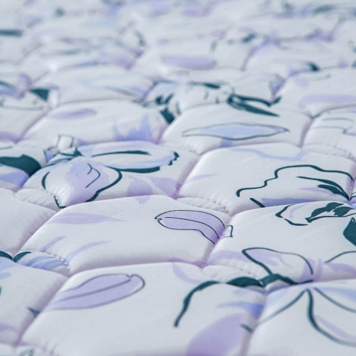 Imagen miniatura Colch&oacute;n 1 1/2 Plaza Cannon Princess 190x90x20 Cm Espuma